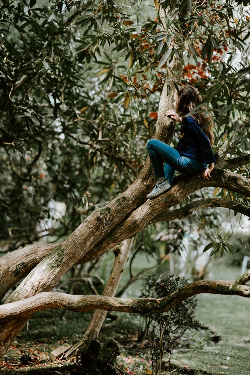 पतझड़ के लिए शरद फोटो विचार - एक पेड़ पर एक लड़की